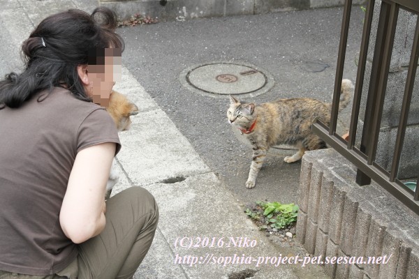 IMG_0587ペット.jpg